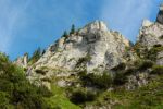 2014-07-05_Laengental-N-Hochweg (784). JPG